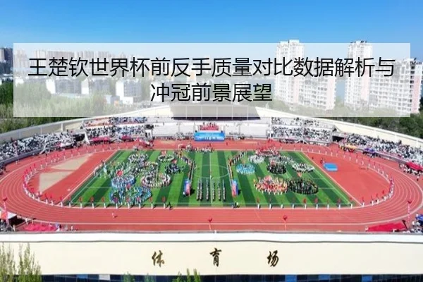 王楚钦世界杯前反手质量对比数据解析与冲冠前景展望